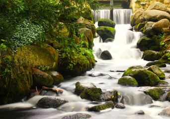 Waterfall in the park against the background of green vegetatio