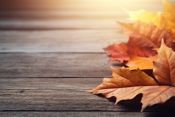 Naklejka na ściany i meble Autumn leaves, banner, copyspace, golden autumn maple