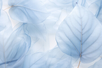 Blue pale leaf wallpaper in soft light, background, wallpaper