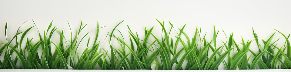 Fototapeta premium a row of 3d green grass on a white background.