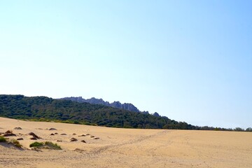 Obraz premium Dunes of Valdevaqueros, sand dunes on the beach at the Atlantic Ocean with the mountains of Andalusia behind, Costa de la Luz, province of Cádiz, Spain, Travel, Tourism
