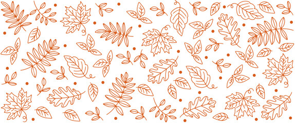 seamless pattern with autumn leaf vector background