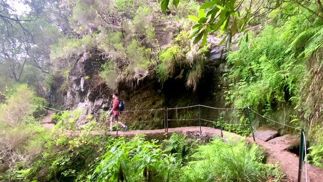 A tourist with small backpack walks along a lush green mountainside levada on a rainy day - houses scattered in the valley. A levada is an irrigation or aqueduct channel specific on Madeira, Portugal
