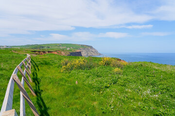 Fototapeta premium Wooden fence along the clifftops near Saltburn, Yorkshire.