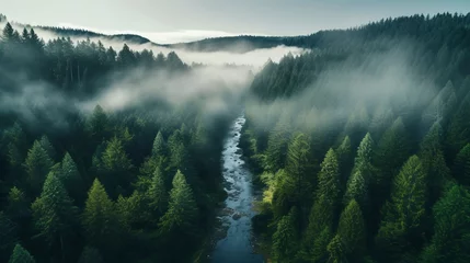 Fotobehang drone photo of foggy forest river in the mountains  © @foxfotoco