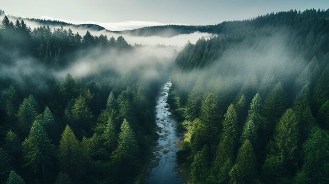 Fototapeta drone photo of foggy forest river in the mountains 