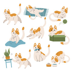 Naklejka premium Funny Cat Domestic Pet with Pretty Snout Engaged in Different Activity Vector Set