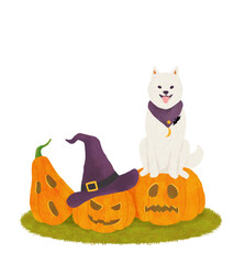 ハロウィンかぼちゃと柴犬のイラスト