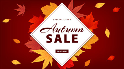 Autumn sale banner. Autumn leaves background for shopping sale, special offer. Promo poster, shopping website template. Vector illustration