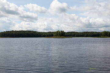 lake and lakeshore covered with forest on a cloudy summer day