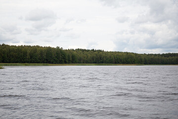 lake and lakeshore covered with forest on a cloudy summer day