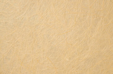 Handmade mulberry paper texture used for a background.