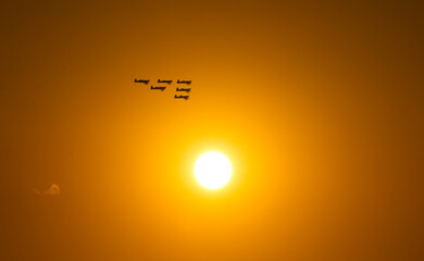 Aerial acrobatics airshow. Ultra light airplanes doing acrobatics in air against amazing sunset sky. Aviation industry concept image.