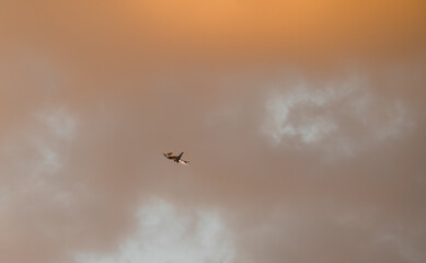 Fighter jet super sonic speed military air planes flying against sunset sky and shooting fire during a demonstrative air show. Military aviation concept image.