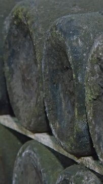 Old Aged Wine Bottles Storage in Dark Rustic Cellar Basement, Stack of Lying Dir
