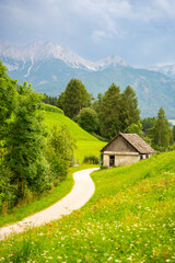 Green meadows with rural road, wooden house, mountains and forest on backgound at sunset in summer, Italy
