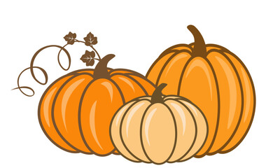 Ripe pumpkins, isolated on white background, vector illustration, garden harvest or autumn market concept.