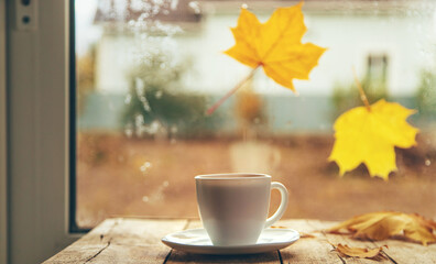 Naklejka na ściany i meble Yellow leaves a cup of autumn tea. Selective focus.