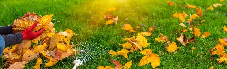 Cleaning the leaves in the autumn park. Selective focus.