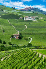 Vineyards of La Morra in the Province of Cuneo, Piedmont, Italy.