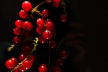 red currant tassels on a dark background