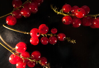 red currant tassels on a dark background