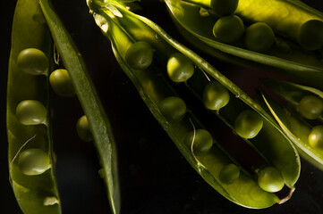ripe green pea pods on a dark background