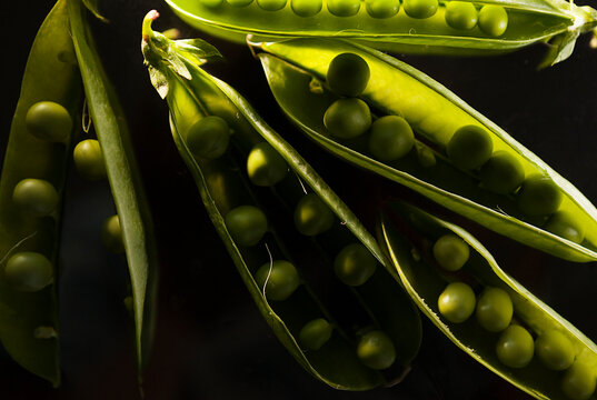 ripe green pea pods on a dark background