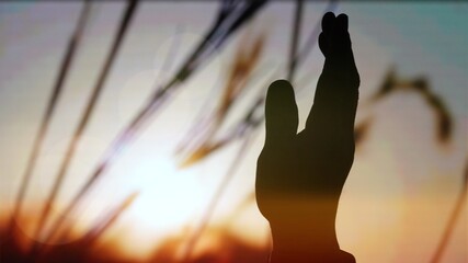 Silhouette Hand Raising, blurred background