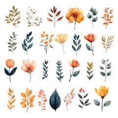 Obraz premium Set of Autumn Leaves and Flower Watercolor