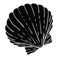 Hand Drawing Style of seashells vector. Suitable for sea creature icon, sign or symbol.