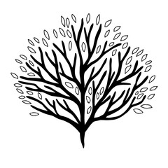 Autumn Tree Icon