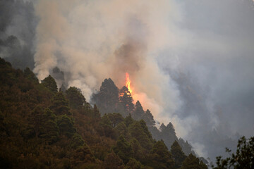 Devastating Wildfire Engulfs Pine Mountain in Thick Smoke