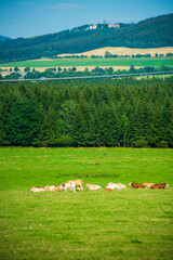 beautiful landscape. mountains and fields in the Czech Republic