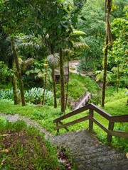 Saut du Gendarme (Martinique)