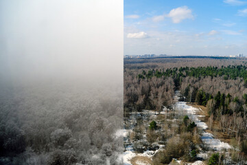 Winter forest with snow trees before and after spring weather. A snow storm and a clear sky of...