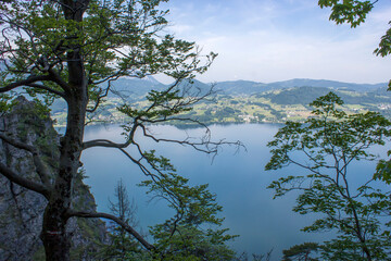Traunsee lake with Alps seen from hill Kleiner Schonberg. Austria landscape. Austria