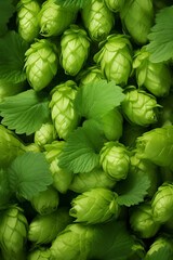 humulus