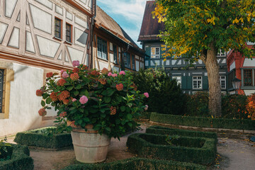 Fototapeta na wymiar Beautiful Garden and Old National German Half-Timbered houses Town House in Bietigheim-Bissingen, Baden-Wuerttemberg, Germany, Europe. Old Town is full of colorful and well preserved buildings.