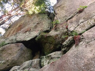 The rock in the Carpathians is photographed from below. The rock consists of many large stones. Rock in the forest.