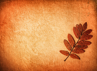 Autumnal Leaves and Old Paper