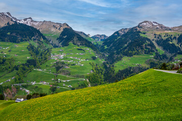 Fototapeta na wymiar Spring view from a meadow full of beautifully blooming yellow dandelions across the forests, farms, villages and the partially snow-covered mountains of the Großes Walsertal in the Austrian Alps