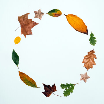 Simple idea or concept on white bright background with autumn motifs containing yellow, brown and green leaves and a wooden star making a circle eclipse with a message card note space in the middle. 