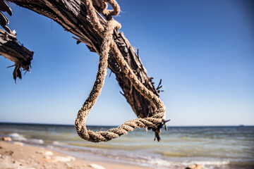 A rope hangs from a branch of a dry tree close-up against the background of the sky and the sea	
