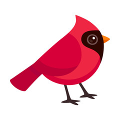 Cute red Northern Cardinal illustration