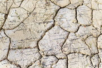 Earth in cracks from the scorching sun and drought concept of world warming.