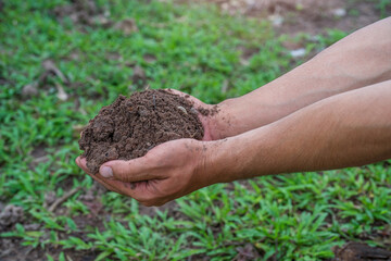 Hand holding fertile black soil. Hands holding good quality soil. Dirty hands with soil. Hand holding soil in agricultural field.