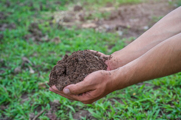 Hand holding fertile black soil. Hands holding good quality soil. Dirty hands with soil. Hand holding soil in agricultural field.