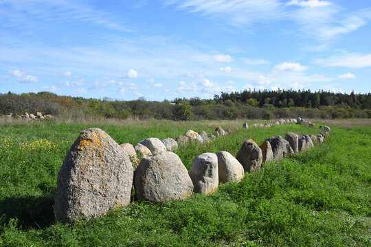 Schiffssetzungen bei Gnisv&auml;rd auf Gotland
