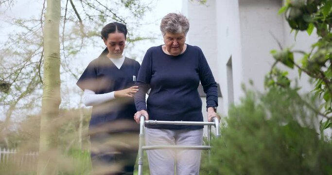 Rehabilitation, walker or nurse helping an old woman in retirement or hospital for wellness or support. Exercise, caregiver nursing or elderly patient learning mobility with walking frame in garden